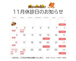 2025.11休診日カレンダー
